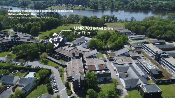 panther-birdsview